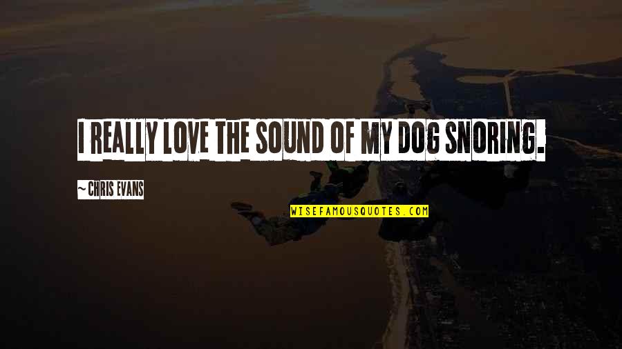Snoring Dog Quotes By Chris Evans: I really love the sound of my dog