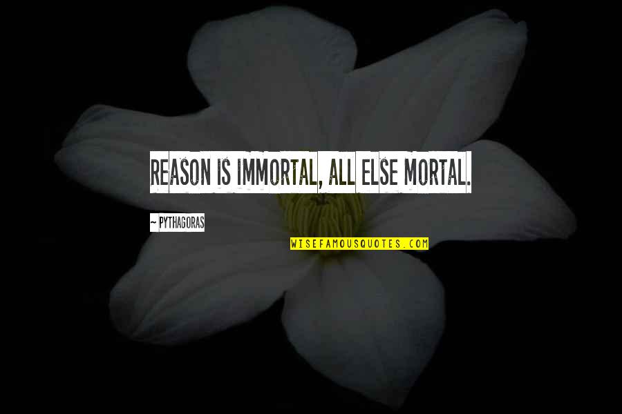 Snorre Bruun Quotes By Pythagoras: Reason is immortal, all else mortal. Snorre Bruun Quotes By Pythagoras: Reason is immortal, all else mortal.