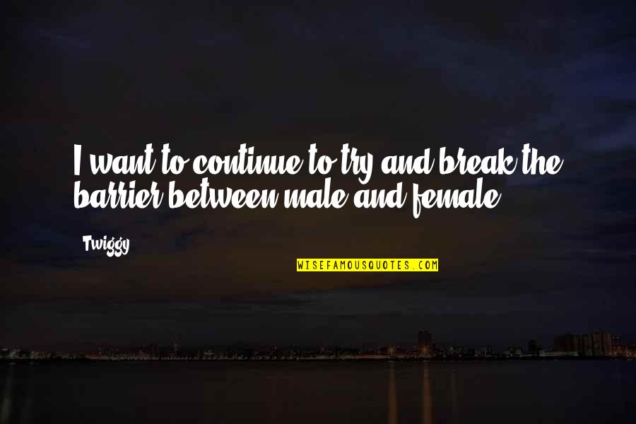 Snorre Bruun Quotes By Twiggy: I want to continue to try and break