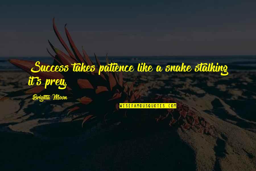 Snotkop Quotes By Brigitta Moon: Success takes patience like a snake stalking it's Snotkop Quotes By Brigitta Moon: Success takes patience like a snake stalking it's