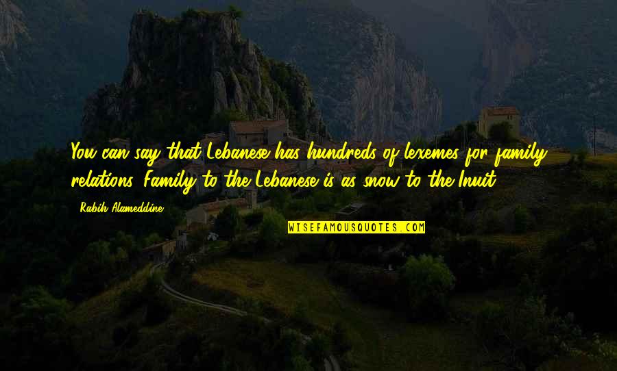 Snow And Family Quotes By Rabih Alameddine: You can say that Lebanese has hundreds of