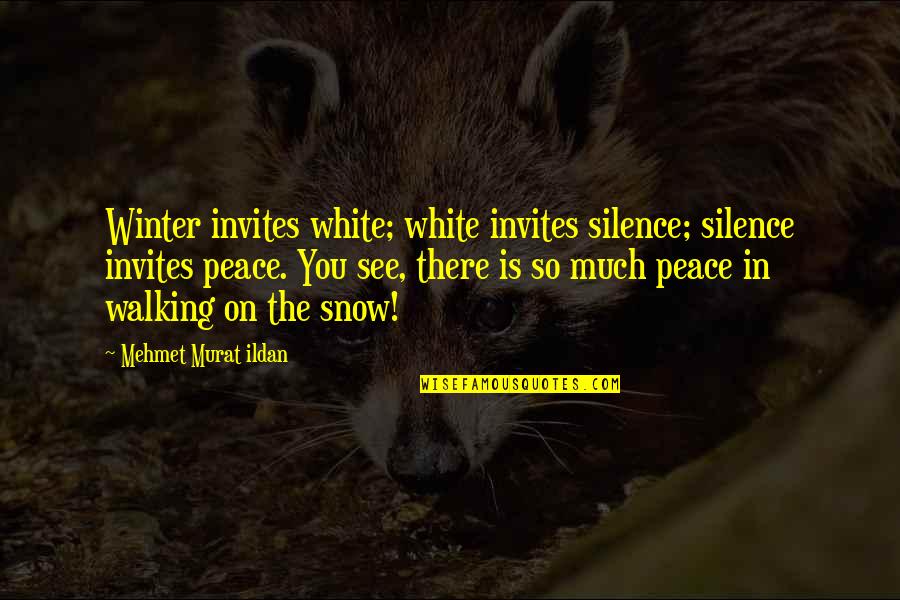 Snow And Peace Quotes By Mehmet Murat Ildan: Winter invites white; white invites silence; silence invites