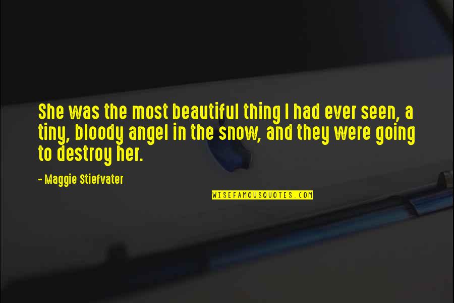 Snow And Winter Quotes By Maggie Stiefvater: She was the most beautiful thing I had Snow And Winter Quotes By Maggie Stiefvater: She was the most beautiful thing I had