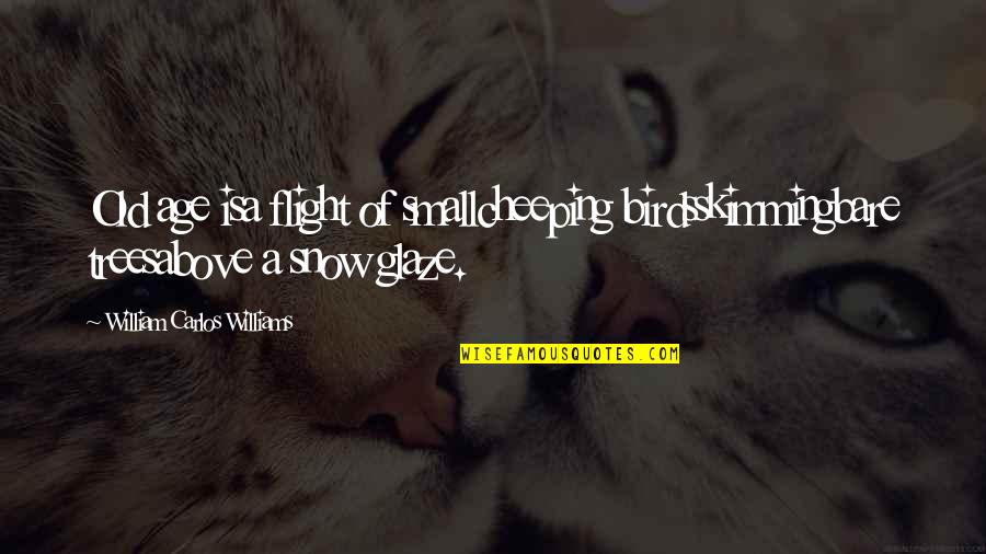 Snow Birds Quotes By William Carlos Williams: Old age isa flight of smallcheeping birdsskimmingbare treesabove