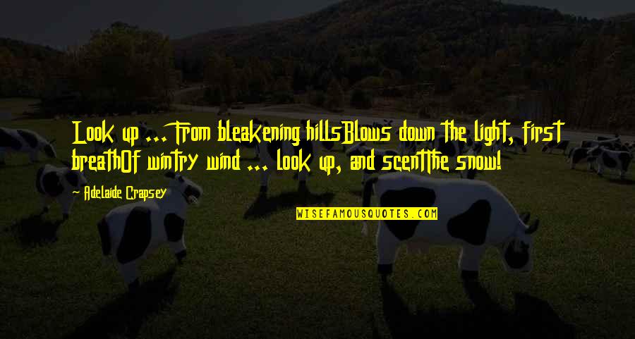 Snow Hills Quotes By Adelaide Crapsey: Look up ... From bleakening hillsBlows down the