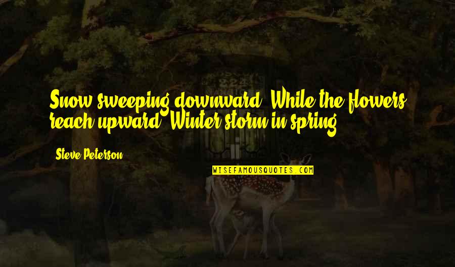 Snow On Flowers Quotes By Steve Peterson: Snow sweeping downward, While the flowers reach upward--Winter
