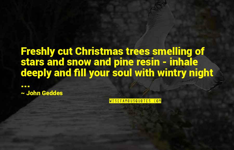 Snow On Trees Quotes By John Geddes: Freshly cut Christmas trees smelling of stars and