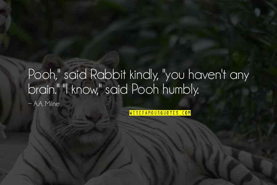Snow Plowing Quotes By A.A. Milne: Pooh," said Rabbit kindly, "you haven't any brain."
