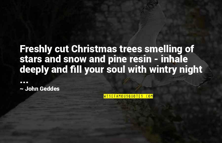 Snow Quotes And Quotes By John Geddes: Freshly cut Christmas trees smelling of stars and