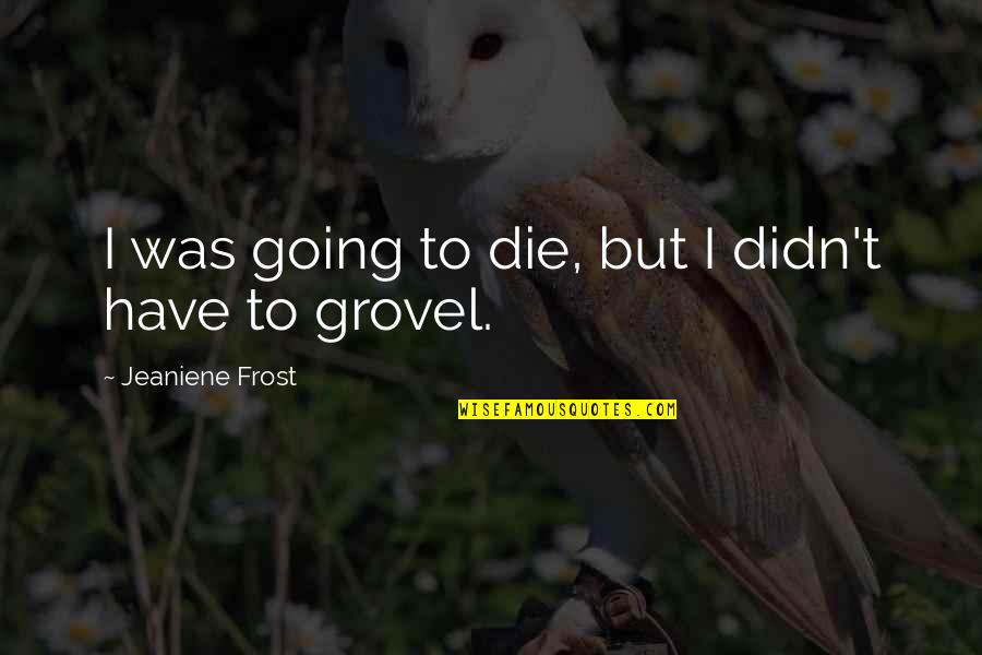 Snow Spiritual Quotes By Jeaniene Frost: I was going to die, but I didn't
