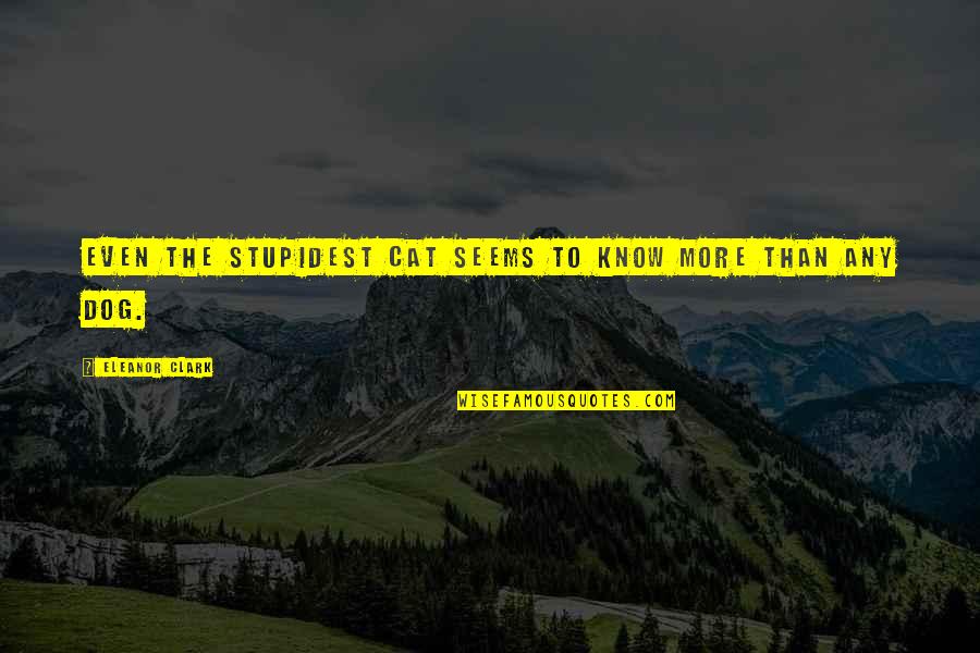Snow White Evil Queen Mirror Quotes By Eleanor Clark: Even the stupidest cat seems to know more Snow White Evil Queen Mirror Quotes By Eleanor Clark: Even the stupidest cat seems to know more