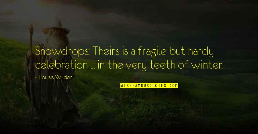 Snowdrops Louise Quotes By Louise Wilder: Snowdrops: Theirs is a fragile but hardy celebration Snowdrops Louise Quotes By Louise Wilder: Snowdrops: Theirs is a fragile but hardy celebration