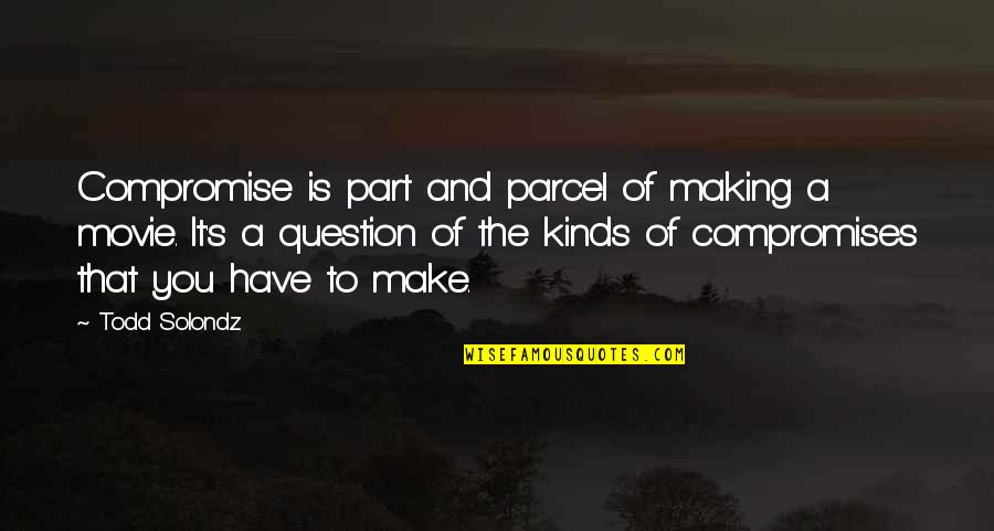 Snowflake Blowing Quotes By Todd Solondz: Compromise is part and parcel of making a