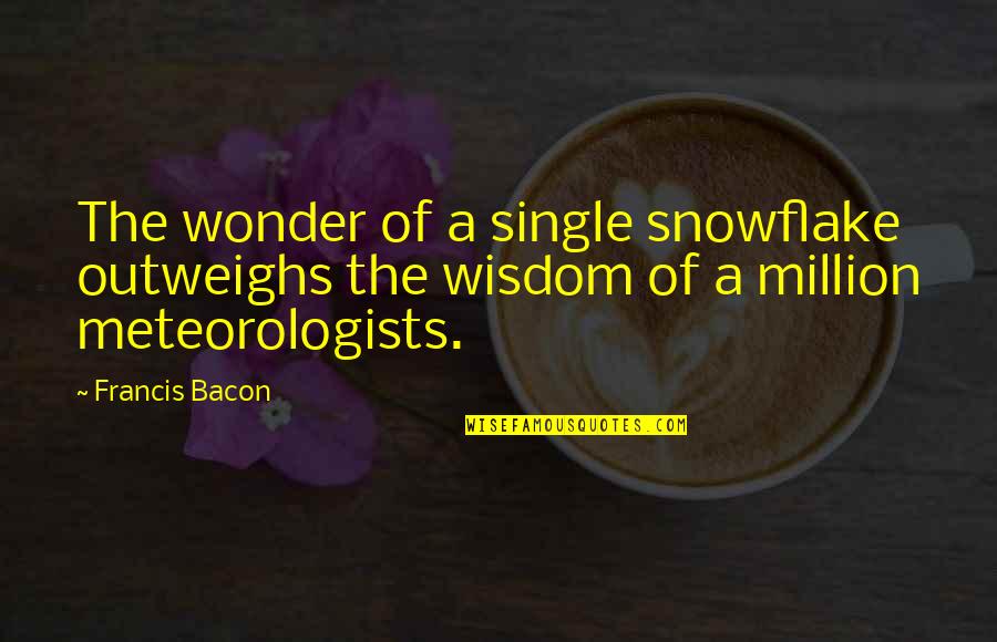 Snowflake Quotes By Francis Bacon: The wonder of a single snowflake outweighs the