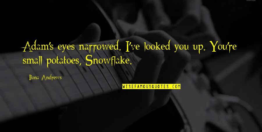 Snowflake Quotes By Ilona Andrews: Adam's eyes narrowed. I've looked you up. You're