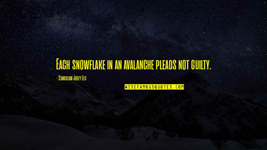 Snowflake Quotes By Stanislaw Jerzy Lec: Each snowflake in an avalanche pleads not guilty.