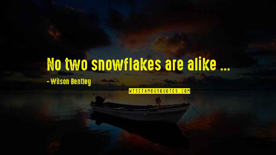 Snowflakes And Life Quotes By Wilson Bentley: No two snowflakes are alike ...