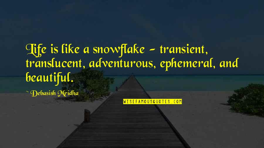 Snowflakes Quotes By Debasish Mridha: Life is like a snowflake - transient, translucent,