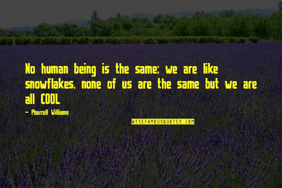 Snowflakes Quotes By Pharrell Williams: No human being is the same; we are