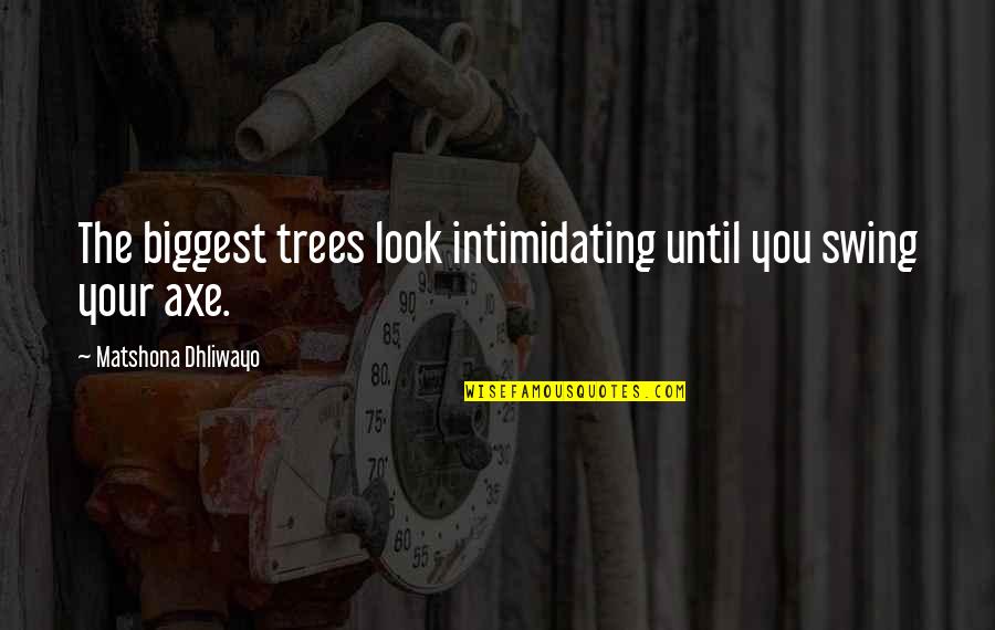 Snowman Bandit Quotes By Matshona Dhliwayo: The biggest trees look intimidating until you swing Snowman Bandit Quotes By Matshona Dhliwayo: The biggest trees look intimidating until you swing