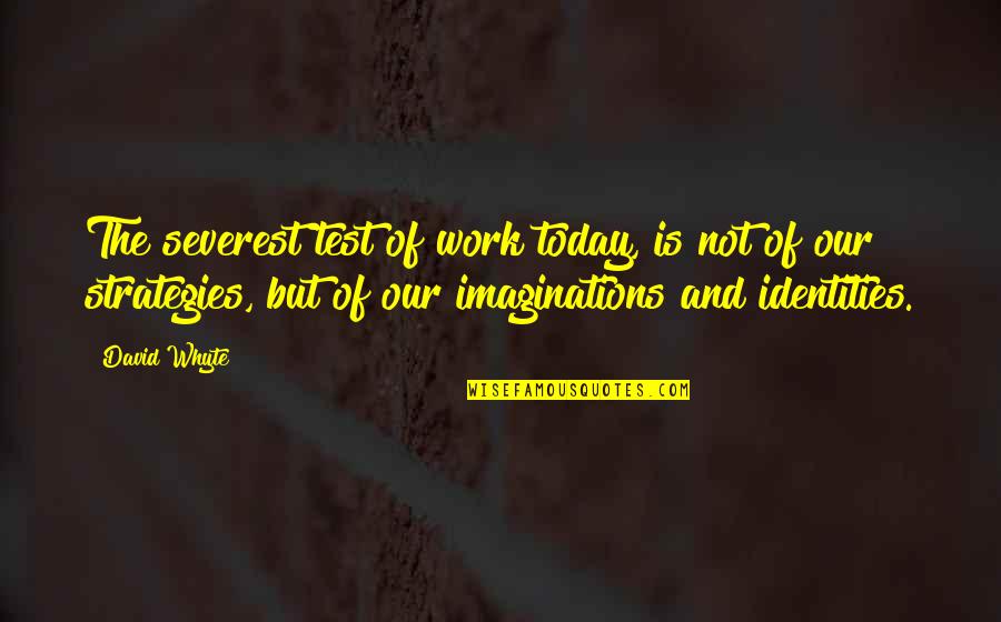 Snukis Contracting Quotes By David Whyte: The severest test of work today, is not