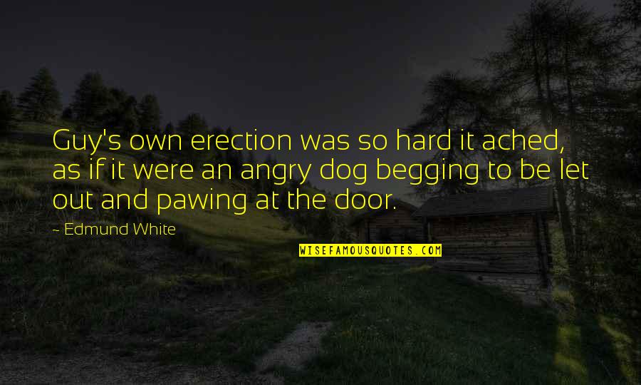 So Angry Quotes By Edmund White: Guy's own erection was so hard it ached,