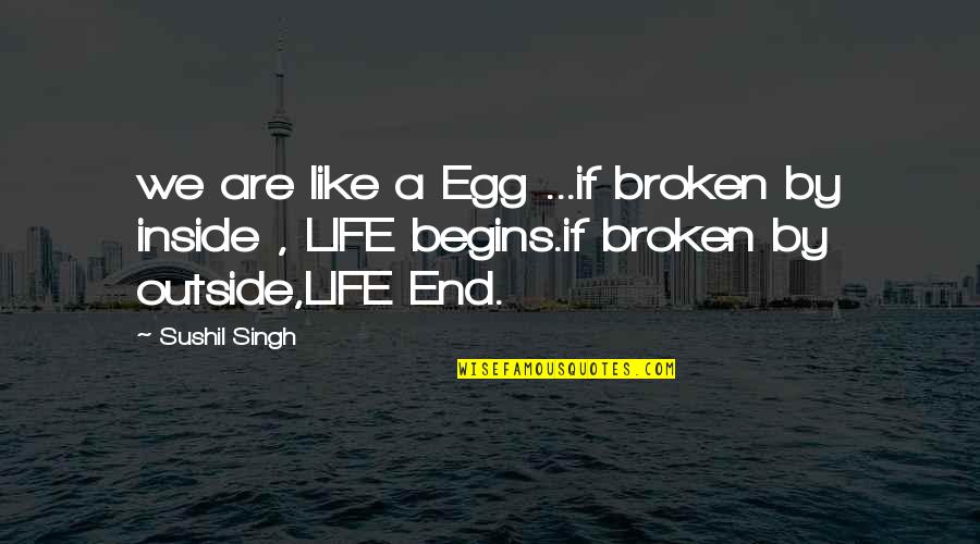 So Broken Inside Quotes By Sushil Singh: we are like a Egg ...if broken by