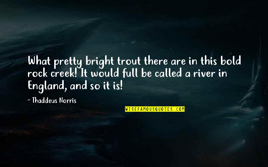 So Called Quotes By Thaddeus Norris: What pretty bright trout there are in this