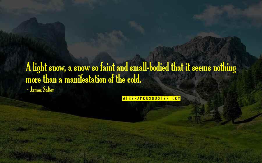 So Cold That Quotes By James Salter: A light snow, a snow so faint and