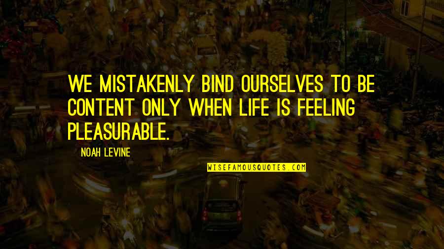 So Content With My Life Quotes By Noah Levine: We mistakenly bind ourselves to be content only