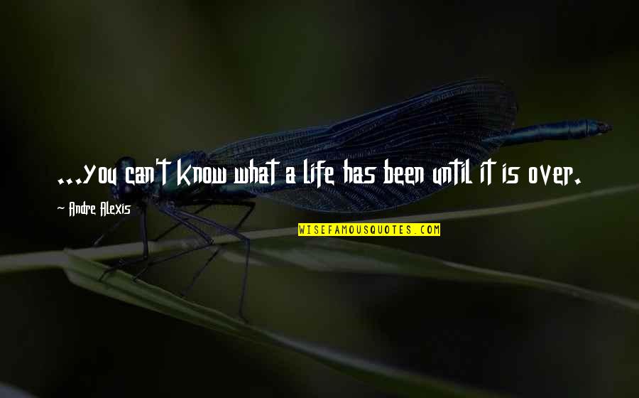 So Damn Tired Quotes By Andre Alexis: ...you can't know what a life has been