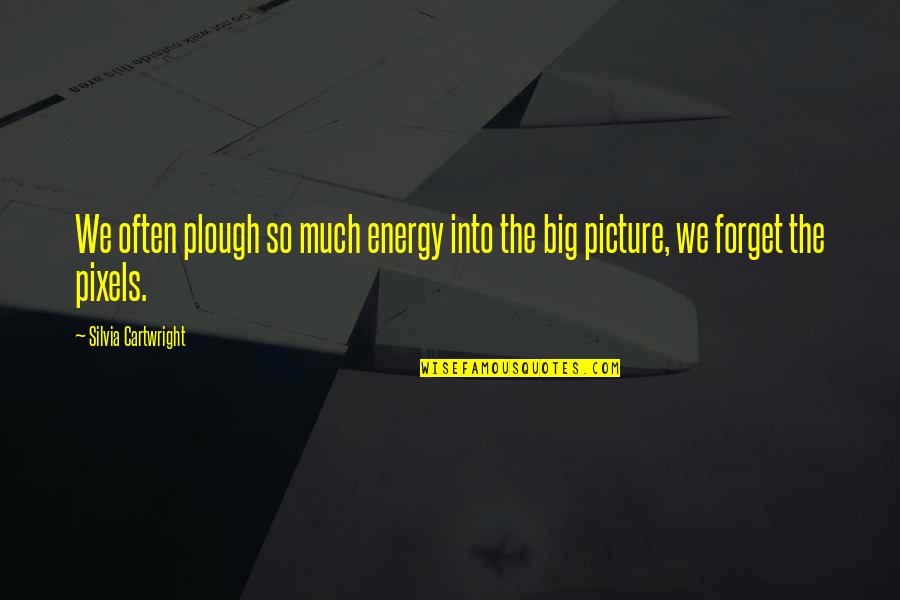 So Energy Quotes By Silvia Cartwright: We often plough so much energy into the