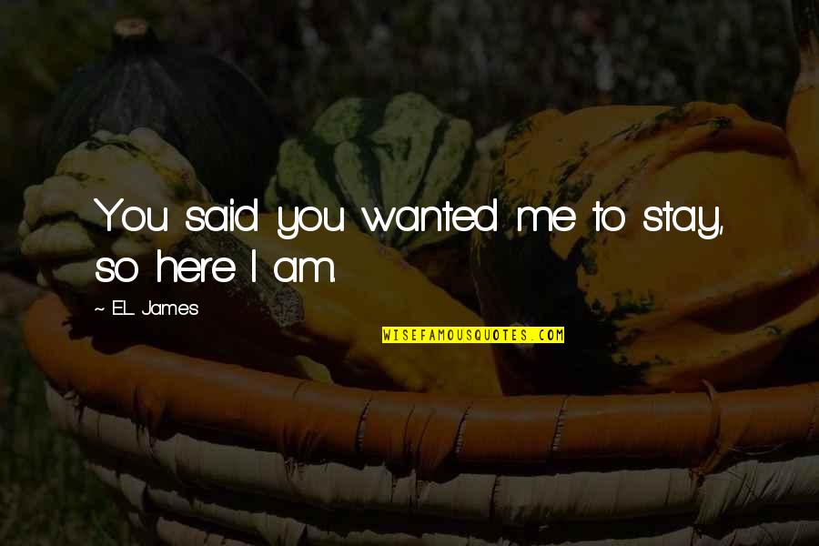 So Here I Am Quotes By E.L. James: You said you wanted me to stay, so