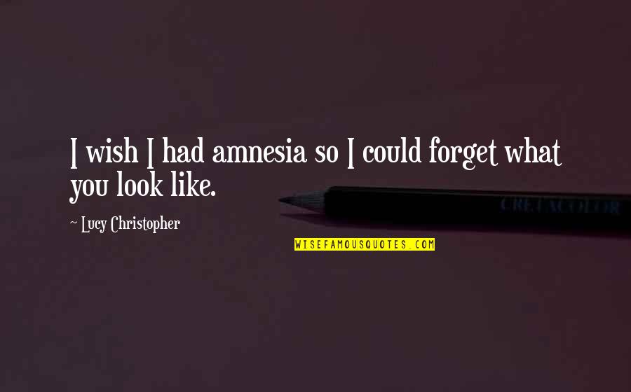 So I Like You Quotes By Lucy Christopher: I wish I had amnesia so I could