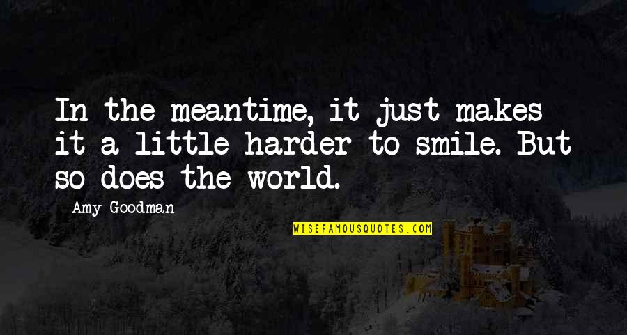 So Just Smile Quotes By Amy Goodman: In the meantime, it just makes it a