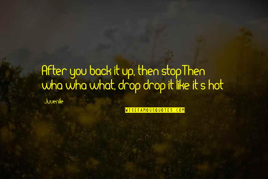 So Juvenile Quotes By Juvenile: After you back it up, then stop;Then wha-wha-what,