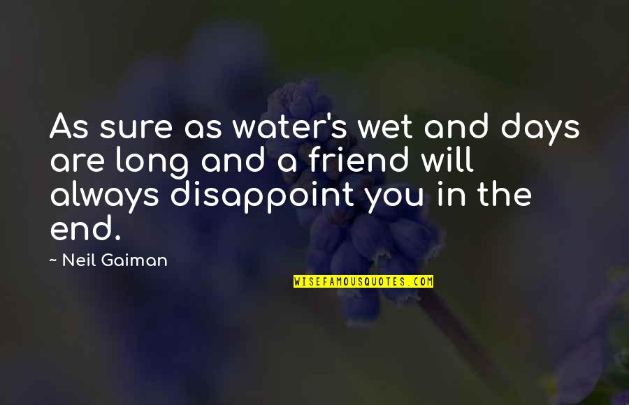 So Long Friend Quotes By Neil Gaiman: As sure as water's wet and days are