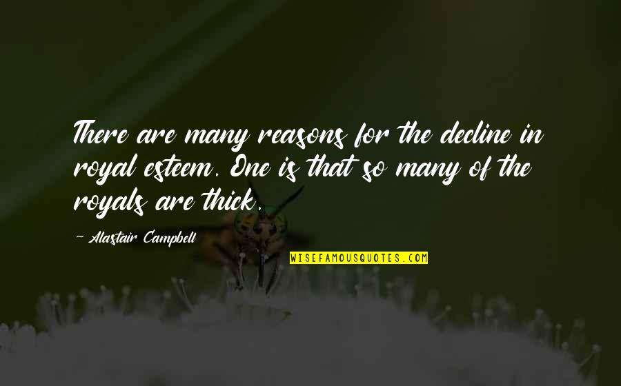 So Many Reasons Quotes By Alastair Campbell: There are many reasons for the decline in