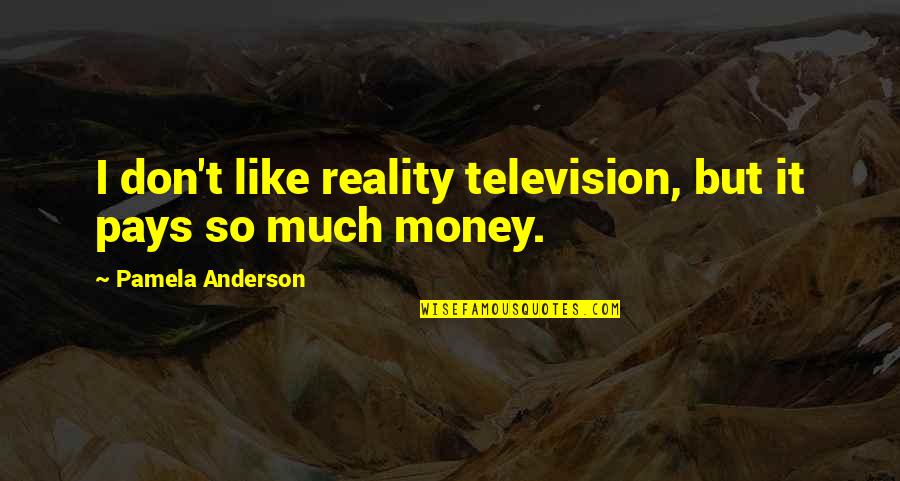 So Much Money Quotes By Pamela Anderson: I don't like reality television, but it pays