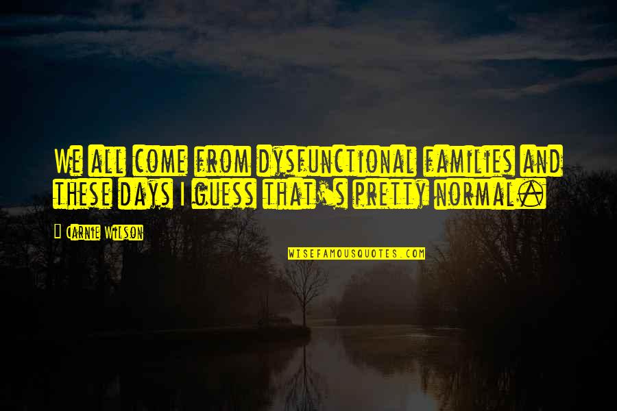 So Much More To Come Quotes By Carnie Wilson: We all come from dysfunctional families and these