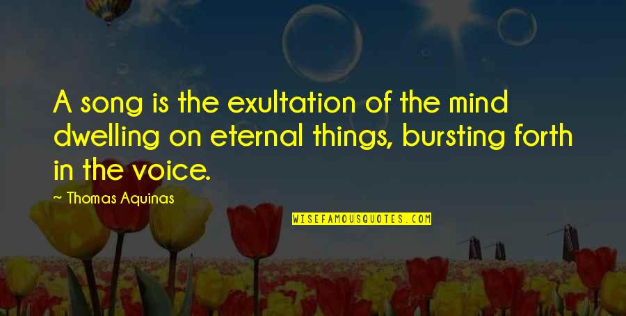 So Much Things On My Mind Quotes By Thomas Aquinas: A song is the exultation of the mind