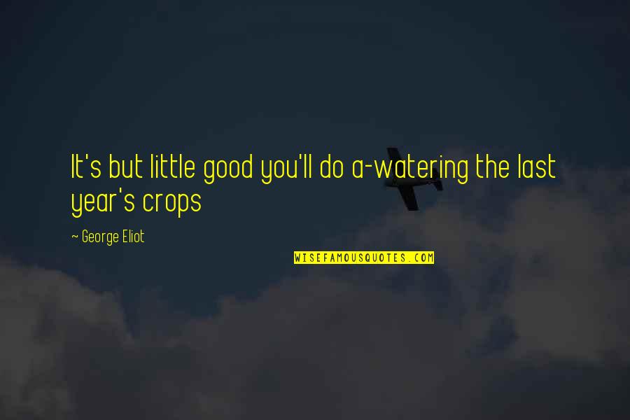 So Much To Do So Little Time Quotes By George Eliot: It's but little good you'll do a-watering the