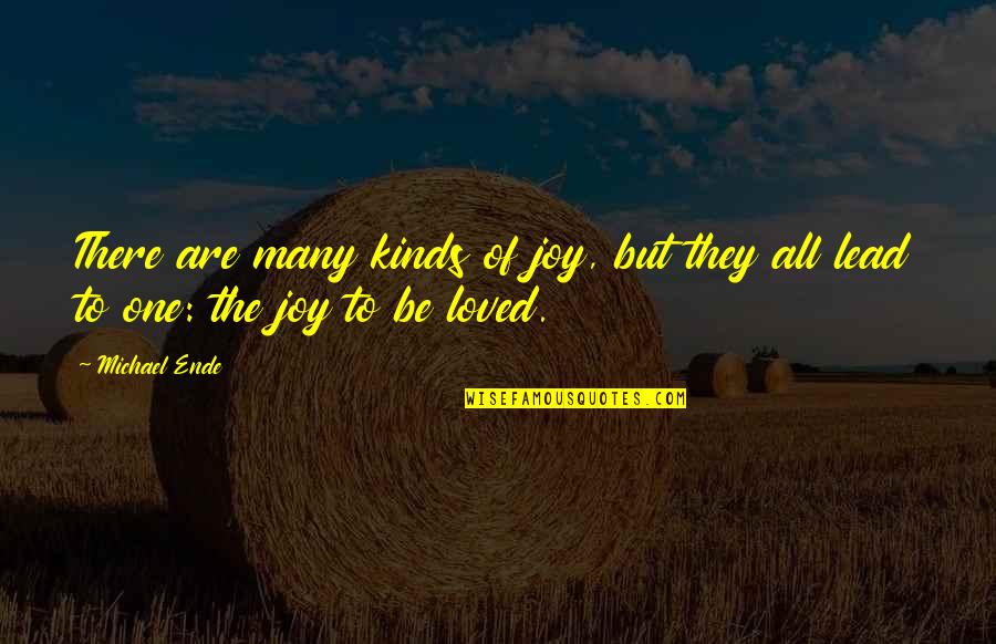 So Much To Tell You Mr Lindell Quotes By Michael Ende: There are many kinds of joy, but they
