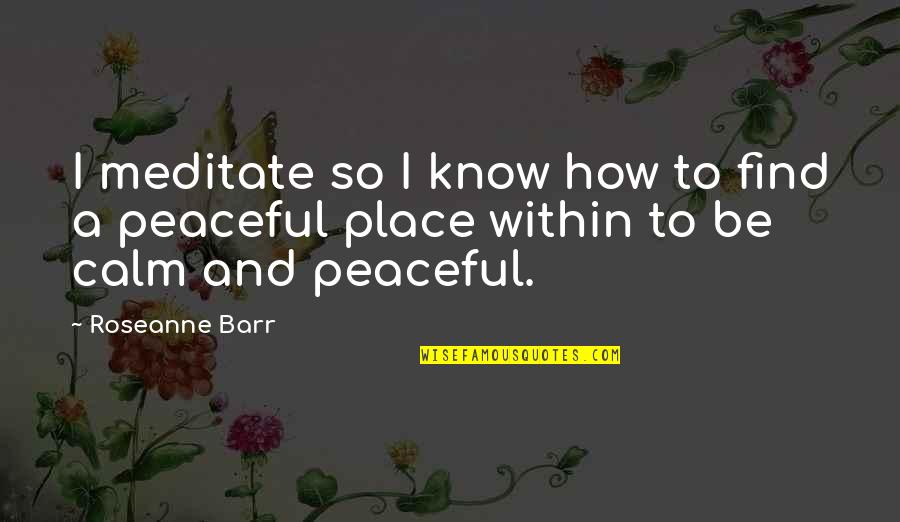 So Peaceful Quotes By Roseanne Barr: I meditate so I know how to find