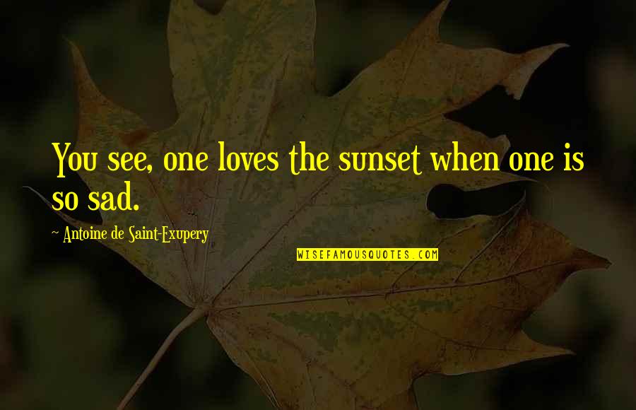 So So Sad Quotes By Antoine De Saint-Exupery: You see, one loves the sunset when one