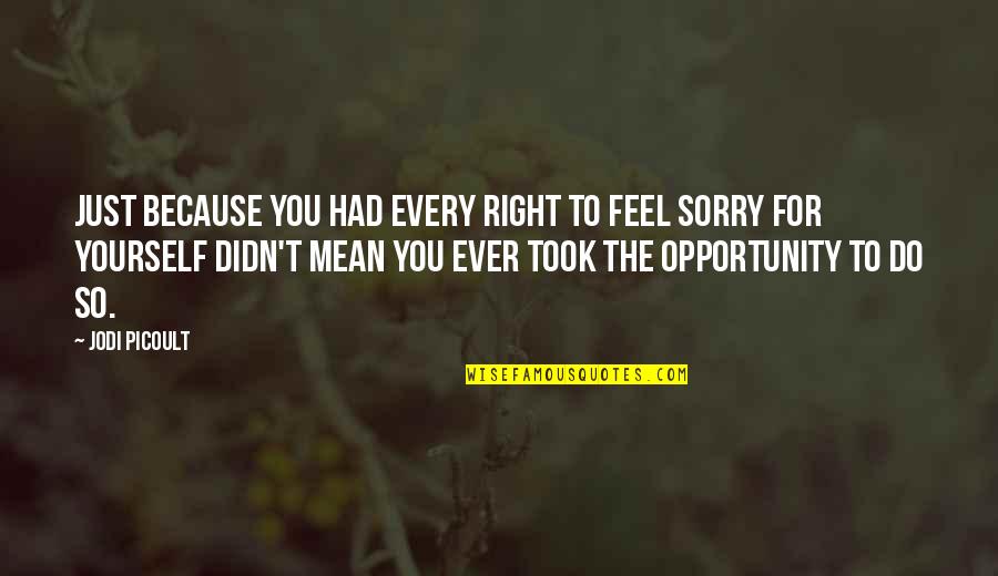 So Sorry Quotes By Jodi Picoult: Just because you had every right to feel