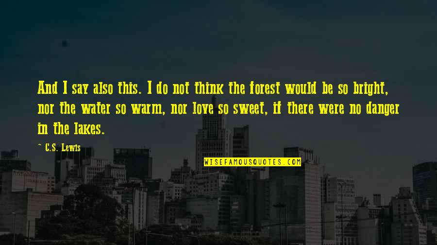 So Sweet Love Quotes By C.S. Lewis: And I say also this. I do not