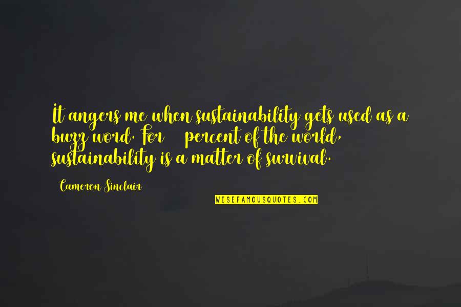 So Thats The Buzz Quotes By Cameron Sinclair: It angers me when sustainability gets used as So Thats The Buzz Quotes By Cameron Sinclair: It angers me when sustainability gets used as