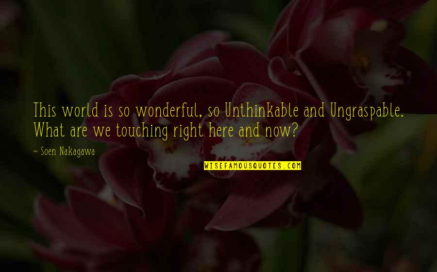 So What Now Quotes By Soen Nakagawa: This world is so wonderful, so Unthinkable and So What Now Quotes By Soen Nakagawa: This world is so wonderful, so Unthinkable and