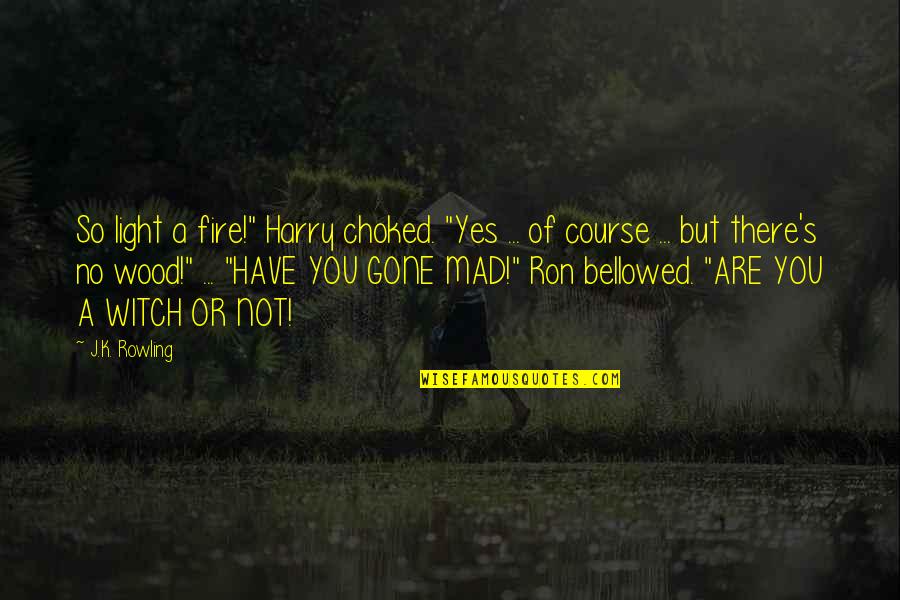 So You Mad Quotes By J.K. Rowling: So light a fire!" Harry choked. "Yes ...